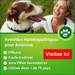 homéopathie pour animaux