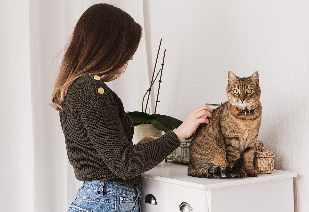 Toilettage régulier : pourquoi c’est essentiel